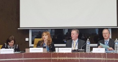 25 January 2017 Aleksandra Djurovic at Sub-Committee meeting